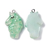 Translucent Resin Pendants RESI-I047-01B-2