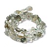 Natural Green Rutilated Quartz Beads Strands G-I351-A09-3