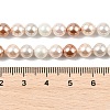 Shell Pearl Beads Strands BSHE-XCP0001-19-4