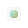 Luminous Glow in the Dark Round Silicone Beads PW-WGB50F5-04-1