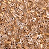 Transparent Inside Colours Glass Seed Beads SEED-T007-13A-2