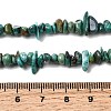 Natural HuBei Turquoise Bead Strands G-H345-A01-02-5