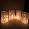 Hollow Candle Paper Bag CARB-WH0007-04-4