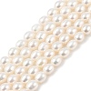 Natural Cultured Freshwater Pearl Beads Strands PEAR-I007-01D-03A-2