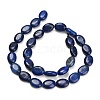 Dyed Natural Lapis Lazuli Beads Strands G-P610-A01-01-3