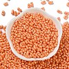 Glass Seed Beads SEED-L011-04A-04-2