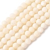 Shell Beads Strands SSHEL-E571-38-4mm-01-2