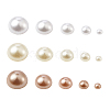 ABS Plastic Imitation Pearl Cabochons SACR-TA0001-04-2