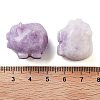 Natural Lepidolite/Purple Mica Stone Carved Figurines DJEW-L023-C11-3