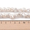 Electroplated Shell Pearl Beads Strands BSHE-C006-01A-4