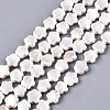 Shell Pearl Beads Strands SSHEL-N032-21-1