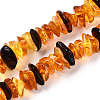 Natural Amber Beads Strands G-T138-235E-1