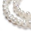 Natural Cultured Freshwater Pearl Beads PEAR-D039-1-3