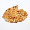 Natural Yellow Aventurine Chip Beads Strands G-L269-36-3