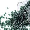 TOHO Round Seed Beads SEED-TR11-0118-1