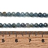 Natural Kyanite/Cyanite/Disthene Beads Strands G-G259-D04-3mm-9