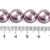 Baking Painted Pearlized Glass Pearl Round Bead Strands PEAR-H019-02E-03-5