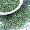 MIYUKI Round Rocailles Beads SEED-JP0008-RR0374-1