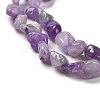 Natural Amethyst(Dyed & Heated) Beads Strands G-P497-01E-17-4