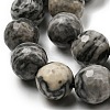 Natural Map Stone/Picasso Stone/Picasso Jasper Beads Strands G-C079-B05-03-4