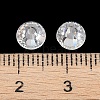 Glass Flat Back Rhinestone RGLA-C002-SS30-001-2