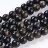 Natural Golden Sheen Obsidian Beads Strands G-C076-10mm-5-1