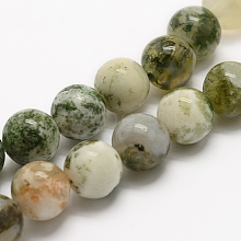 Natural Tree Agate Beads Strands G-G735-02-6mm