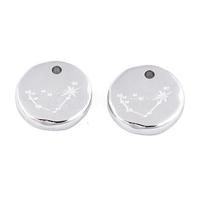 Non-Tarnish 316 Surgical Stainless Steel Charms STAS-S116-418C-P-1