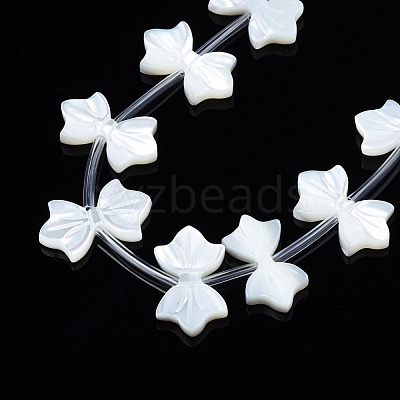 Natural White Shelll Beads Strands SSHEL-S278-123B-1