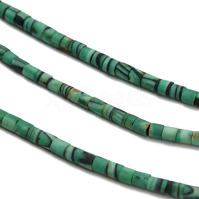 Dyed Synthetic Turquoise Beads Strands G-P594-01B-06-1