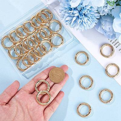 30Pcs Alloy Spring Gate Ring FIND-SP0001-48-1