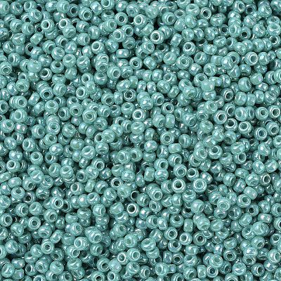 MIYUKI Round Rocailles Beads SEED-G007-RR0481-1