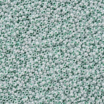 11/0 FGB Grade A Round Glass Seed Beads SEED-N001-B-0487-1