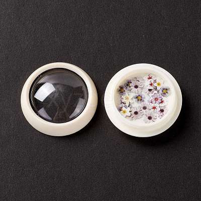 DIY Crystal Epoxy Resin Material Filling DIY-E036-17-1