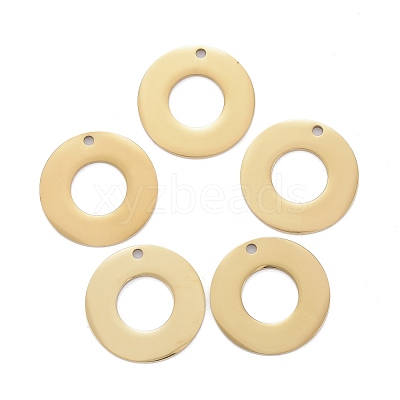 304 Stainless Steel Pendants STAS-I140-08G-1