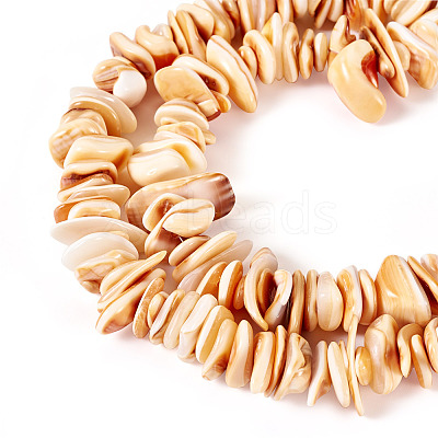1 Strand Natural Seashell Shell Beads Strands SSHEL-TA0001-13-1