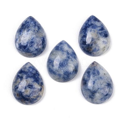 Natural Blue Spot Jasper Cabochons G-H094-01A-22-1