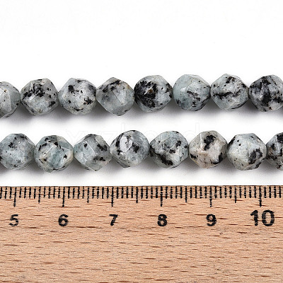 Dyed Natural Sesame Jasper Beads Strands G-T139-8mm-47J-1