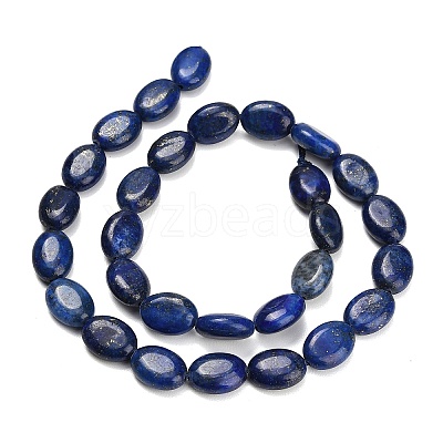Dyed Natural Lapis Lazuli Beads Strands G-P610-A01-01-1