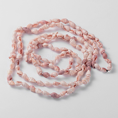 Natural Sea Shell Conch Bead Strands BSHE-O009-11-1
