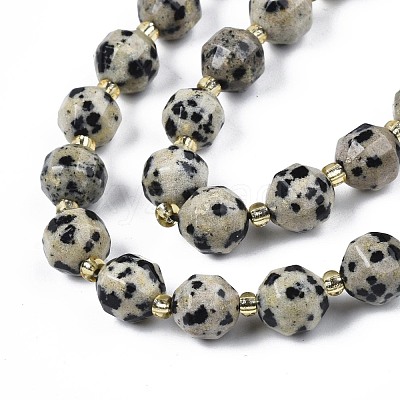 Natural Dalmatian Jasper Beads Strands G-N326-100-02-1