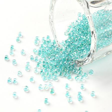 11/0 Grade A Round Glass Seed Beads SEED-N001-E-318-1