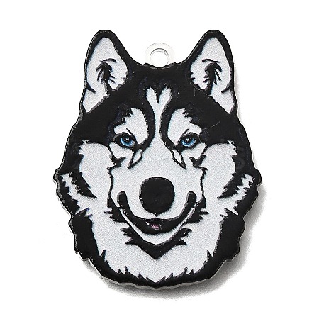 Printed Acrylic Pendants OACR-P033-01F-1