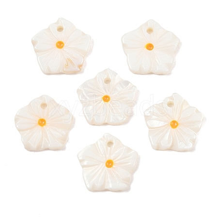 Natural Freshwater Shell Flower Charms SHEL-B005-02-1