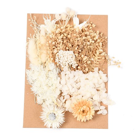 Dried Flower DIY-B018-02-1