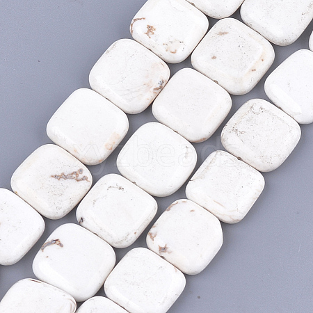 Natural Magnesite Beads Strands TURQ-T003-06-1