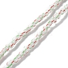 Handmade Lampwork Beads Strands BLOW-K001-01B-12-1