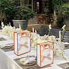 12Pcs Rectangle Plastic Gift Bags ABAG-SP0001-07B-4