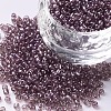 12/0 Glass Seed Beads SEED-A006-2mm-116-1