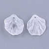 Transparent Acrylic Pendants FACR-T001-07-2